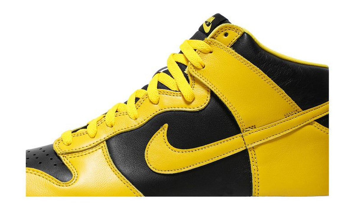 Nike Dunk High SP Iowa 2020