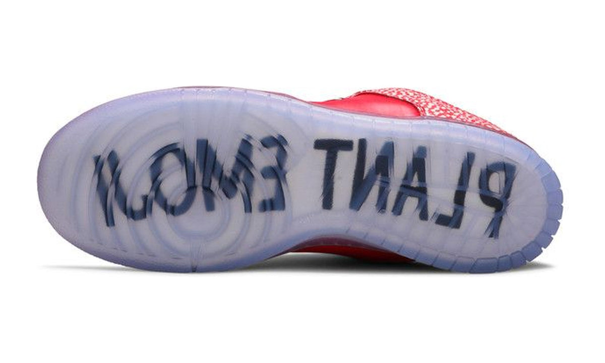 Stingwater x Nike Dunk Low SB Magic Mushroom