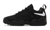 Nike SB Darwin Low Supreme Black