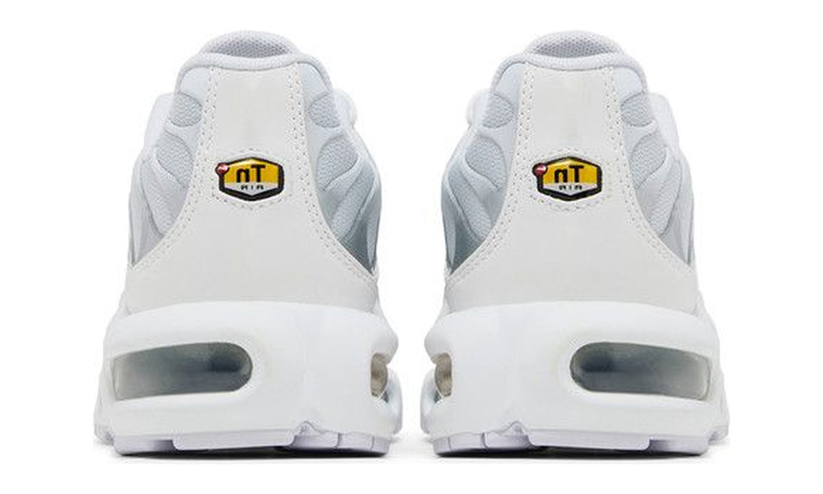 Nike Wmns Air Max Plus White Metallic Silver