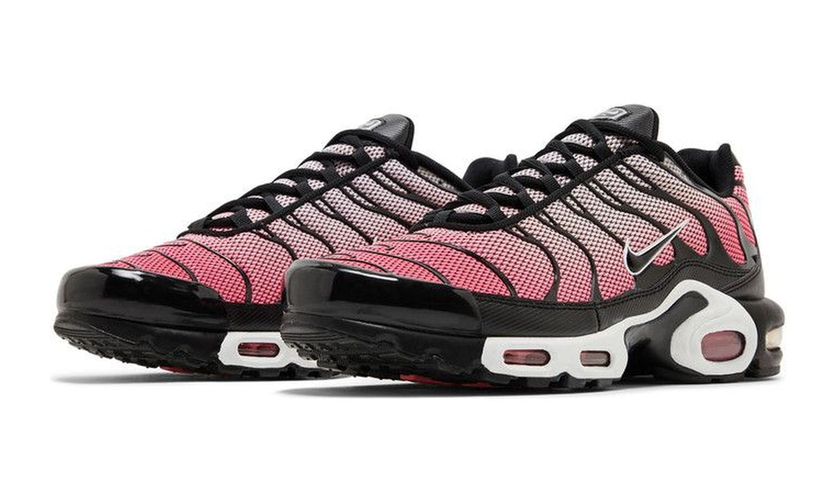 Nike Air Max Plus All Day