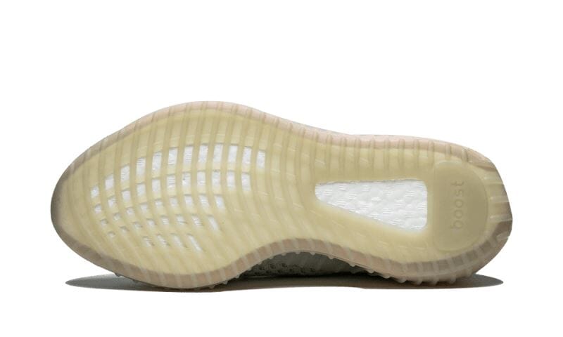 Adidas Yeezy Boost 350 V2 True Form - EG7492