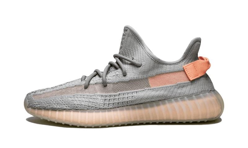 Adidas Yeezy Boost 350 V2 True Form - EG7492