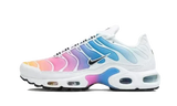 Air Max Plus Summer Gradient