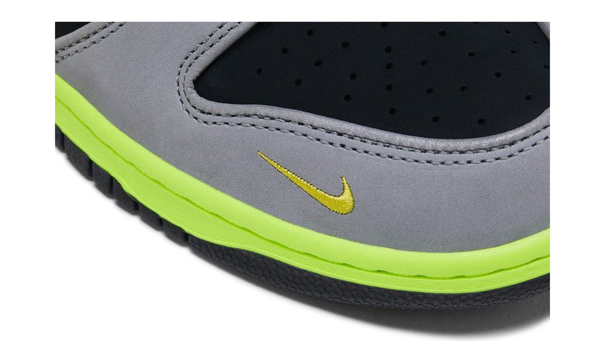 Nike Dunk Low What the Duck Home University of Oregon PE