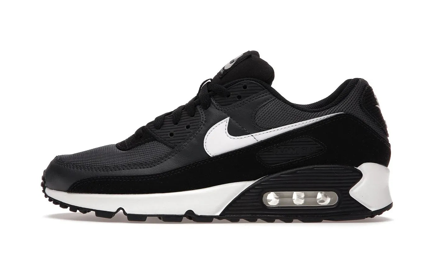 Air Max 90 Iron Grey - CN8490-002