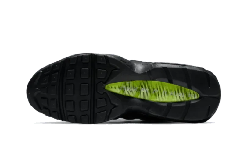 Air Max 95 Denham - DD9519-001