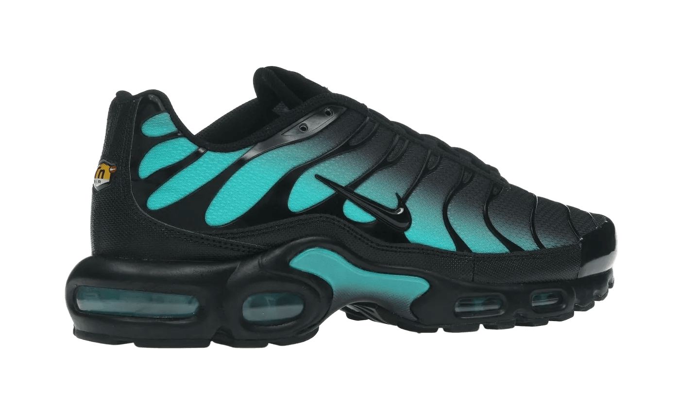 Nike Air Max Plus Black Dusty Cactus
