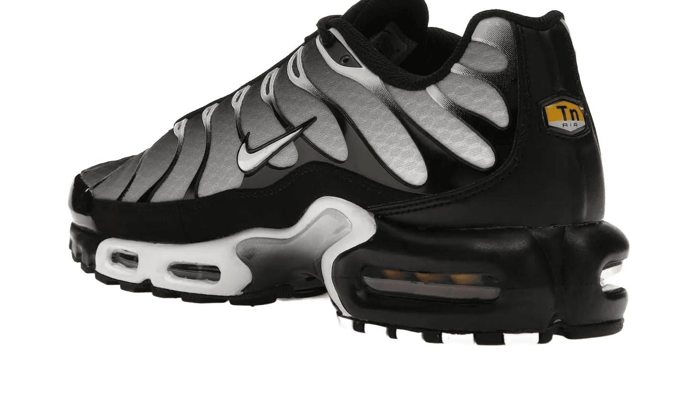 Nike Air Max Plus Black Silver White