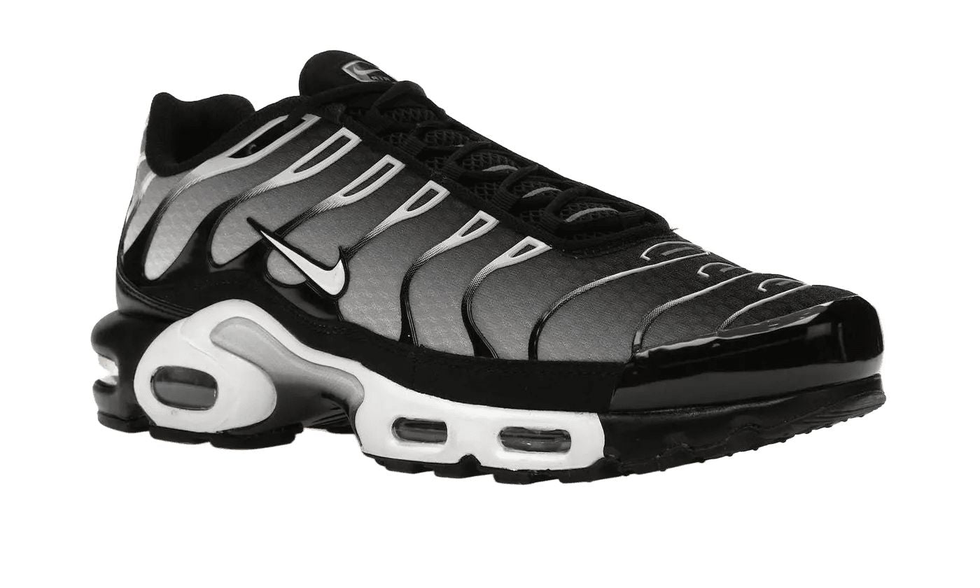 Nike Air Max Plus Black Silver White