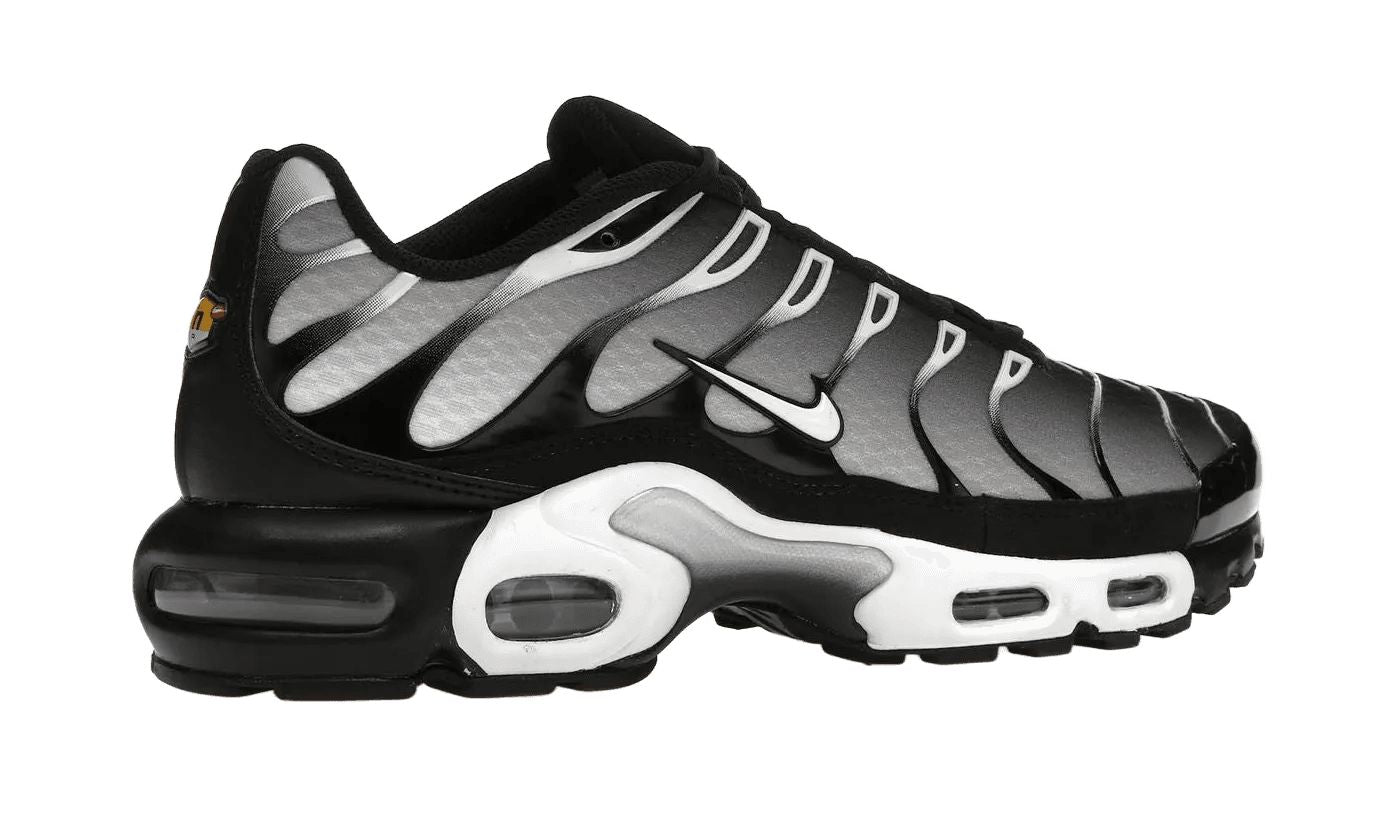 Nike Air Max Plus Black Silver White