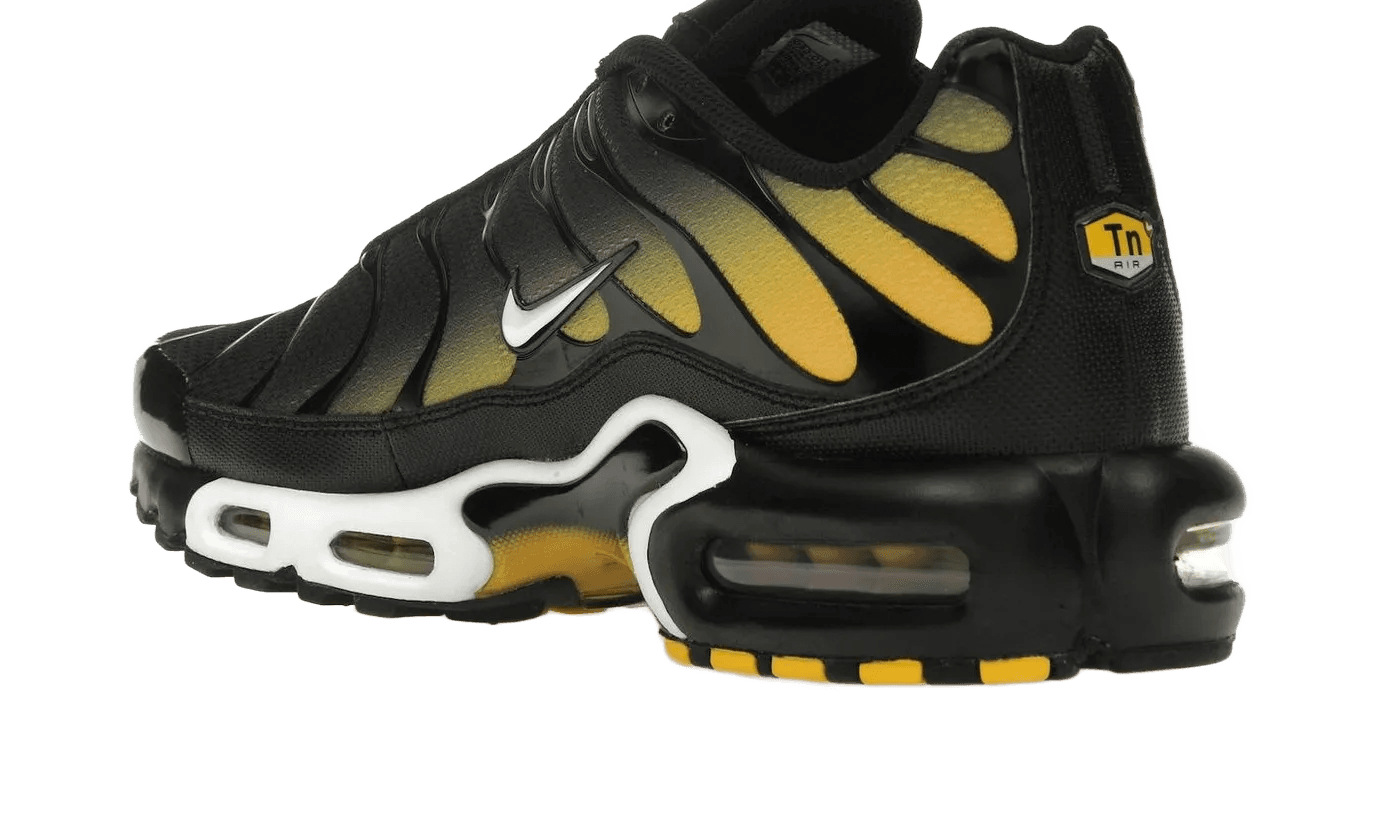 Air Max Plus Black University Gold White - DM0032-013