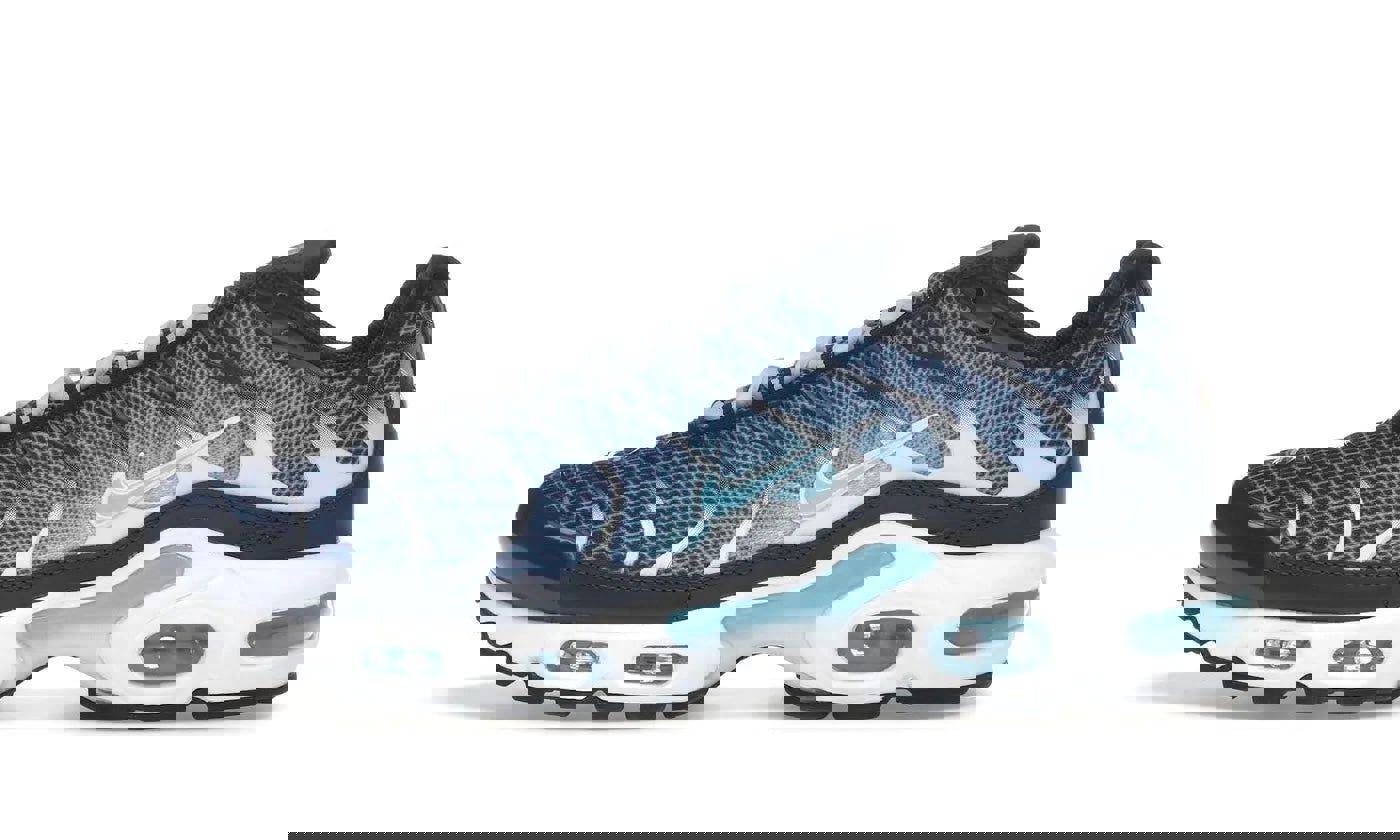 Nike Air Max Plus Dark Obsidian