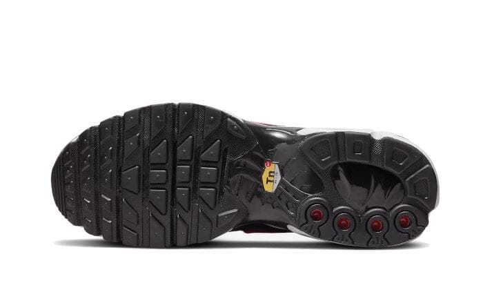 Nike Air Max Plus Dusk - DZ3670-500