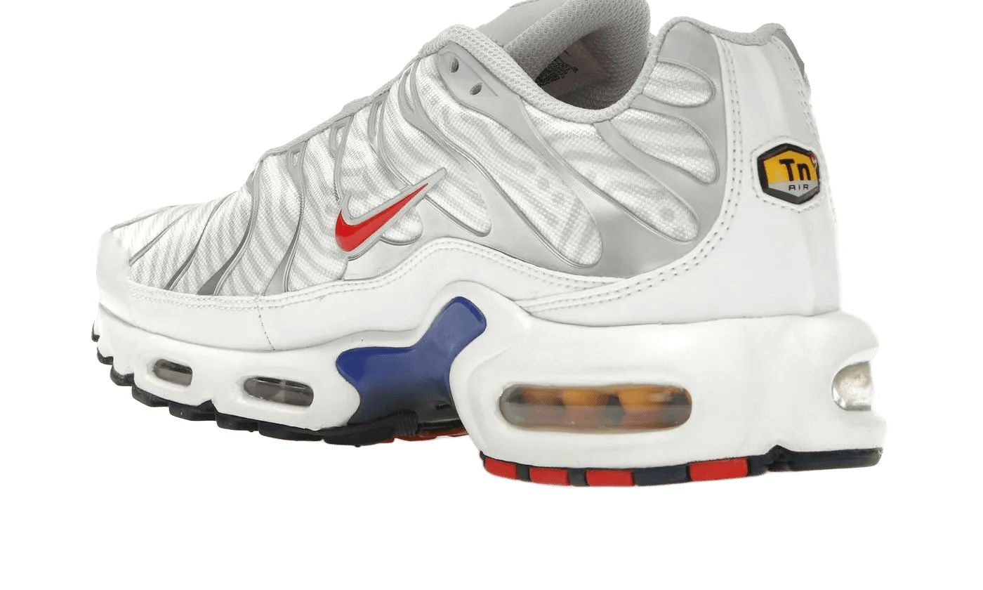Nike Air Max Plus Euro Tour