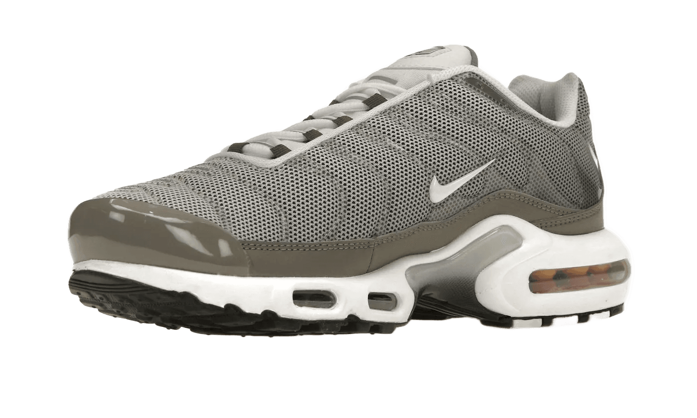 Air Max Plus Flat Pewter - DV7665-002