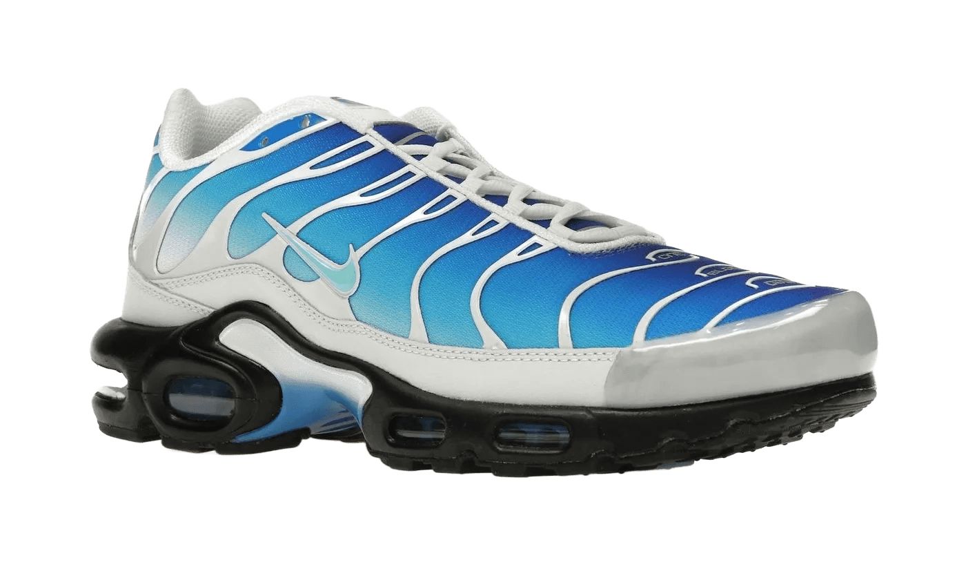 Nike Air Max Plus One Block Down Light Photo Blue