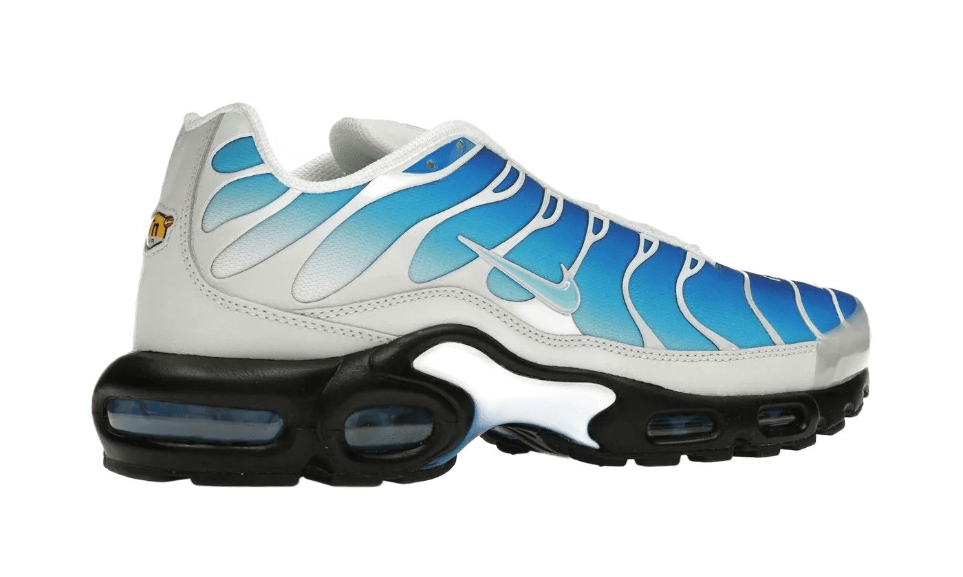 Nike Air Max Plus One Block Down Light Photo Blue