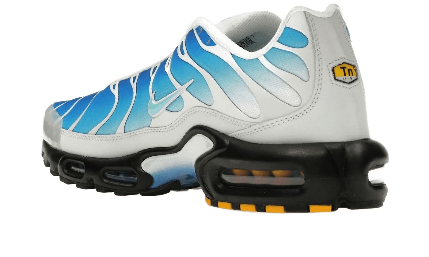Nike Air Max Plus One Block Down Light Photo Blue