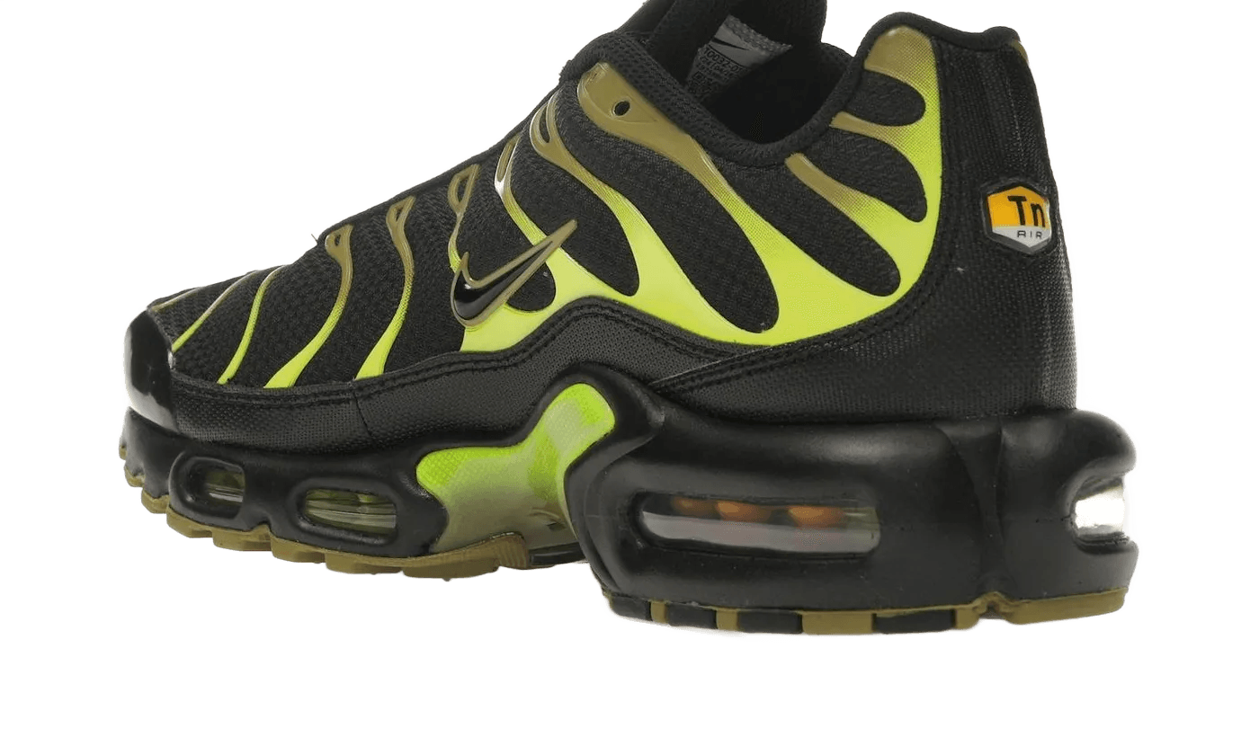 Air Max Plus Pacific Moss - DM0032-010