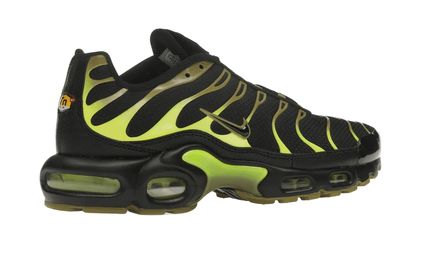 Air Max Plus Pacific Moss - DM0032-010