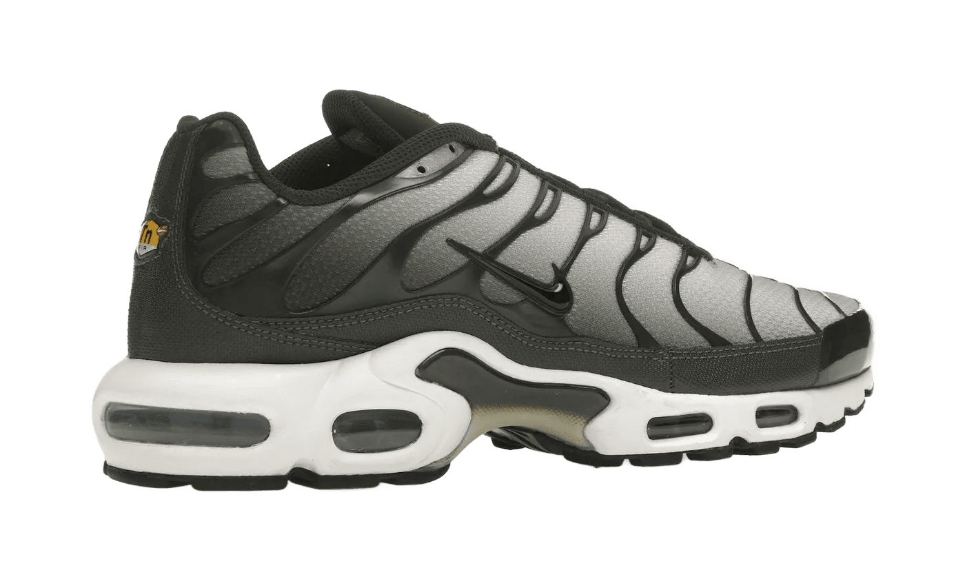Air Max Plus Sequoia Cargo Khaki - DM0032-300