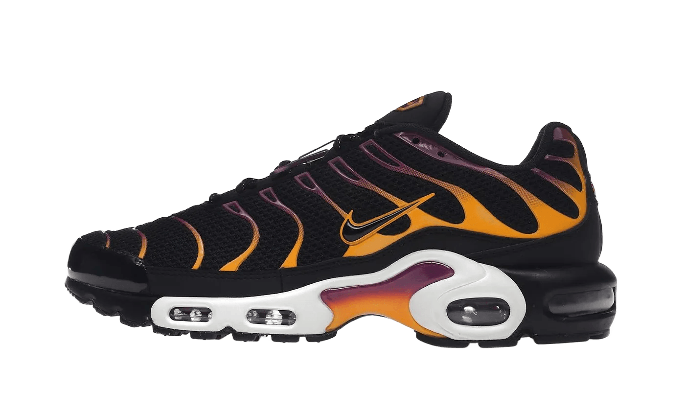 Nike Air Max Plus University Gold Viotech Purple DX2663 001 Shade Studios
