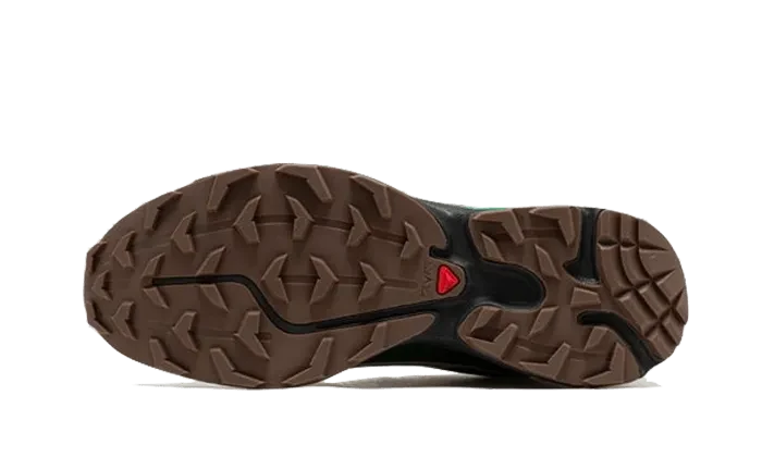 Advanced XT-6 Gore-Tex Eden Green Ash - L47292100