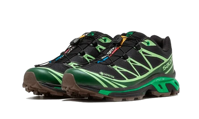 Advanced XT-6 Gore-Tex Eden Green Ash - L47292100