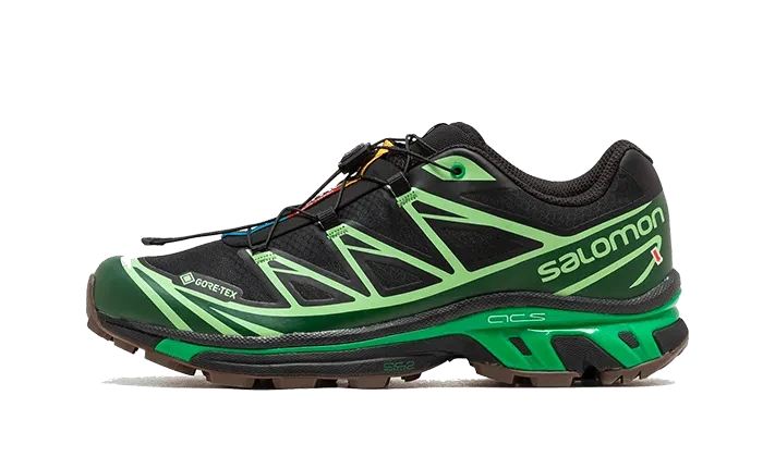 Advanced XT-6 Gore-Tex Eden Green Ash - L47292100
