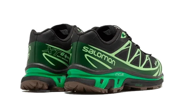 Advanced XT-6 Gore-Tex Eden Green Ash - L47292100