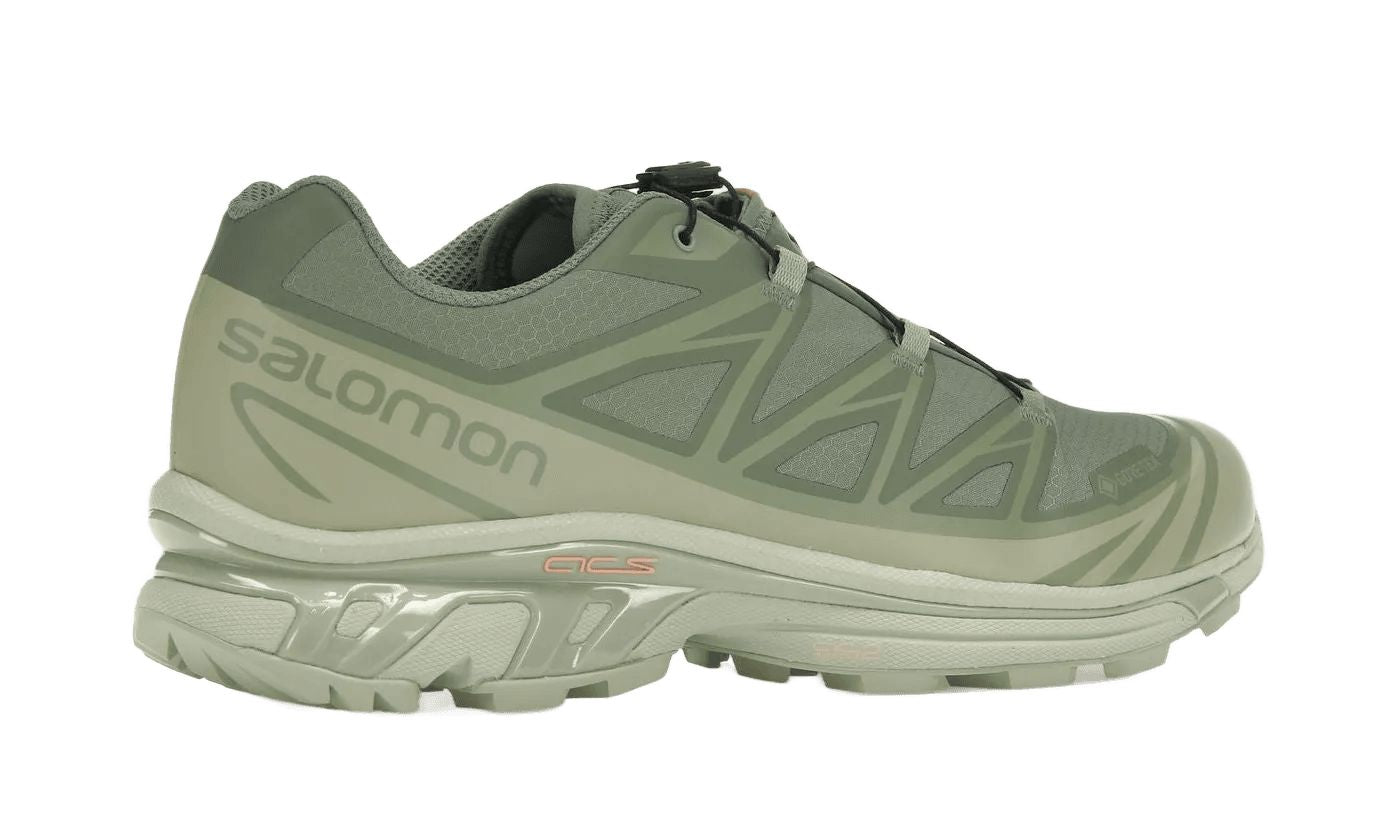 Salomon XT-6 Gore-Tex Desert Sage Lily Pad
