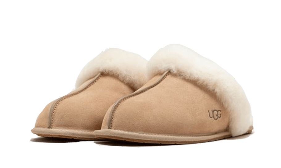 UGG Scuffette II Mustard Seed – limitierter Sneaker bei Shade Studios