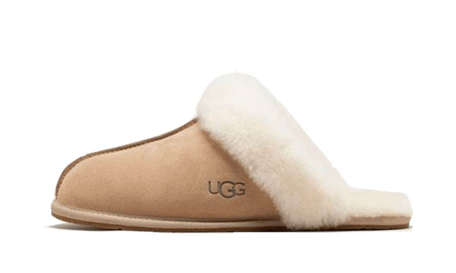 UGG Scuffette II Mustard Seed – limitierter Sneaker bei Shade Studios