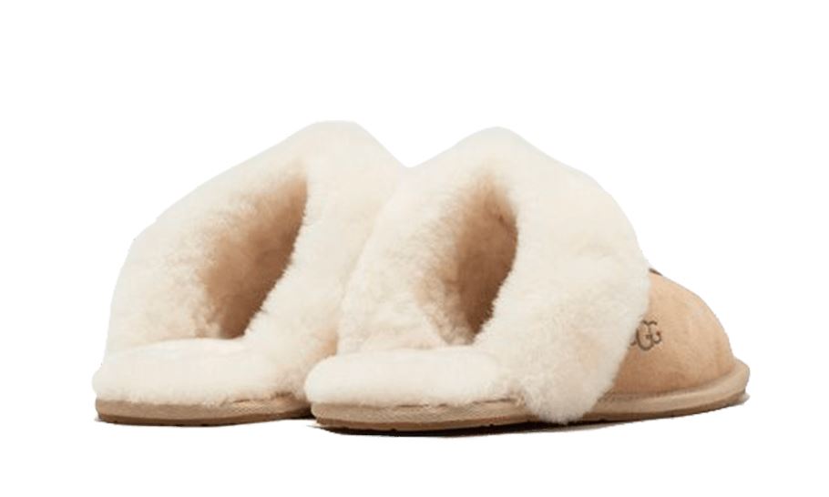 UGG Scuffette II Mustard Seed – limitierter Sneaker bei Shade Studios