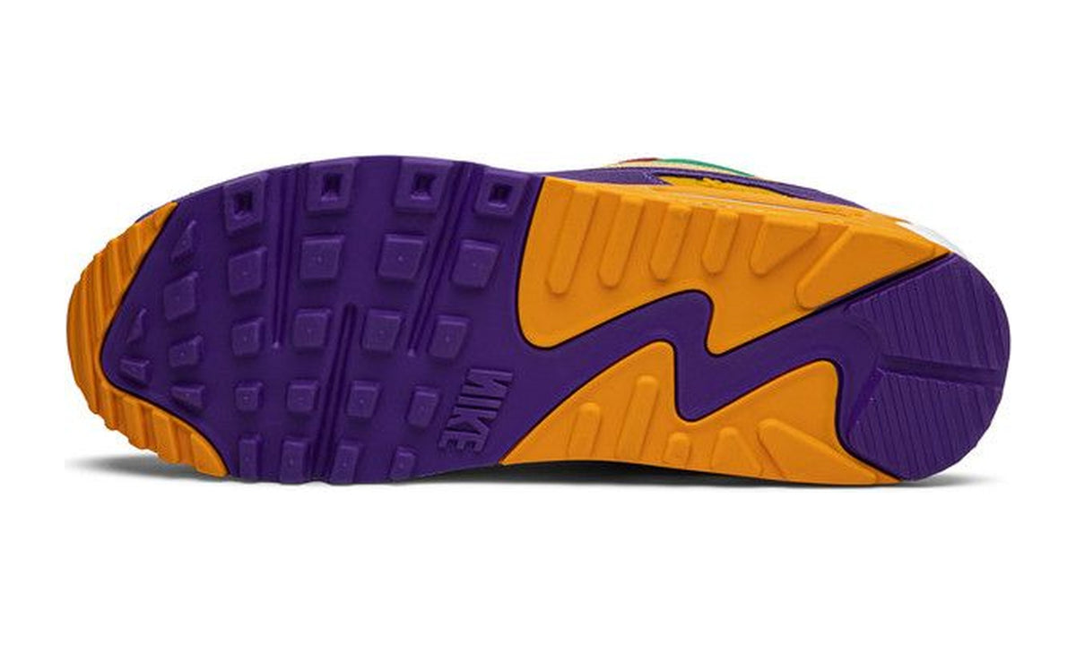 Nike Air Max 90 Viotech