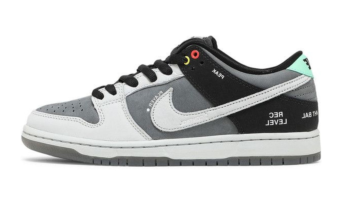 Nike Dunk Low SB Camcorder