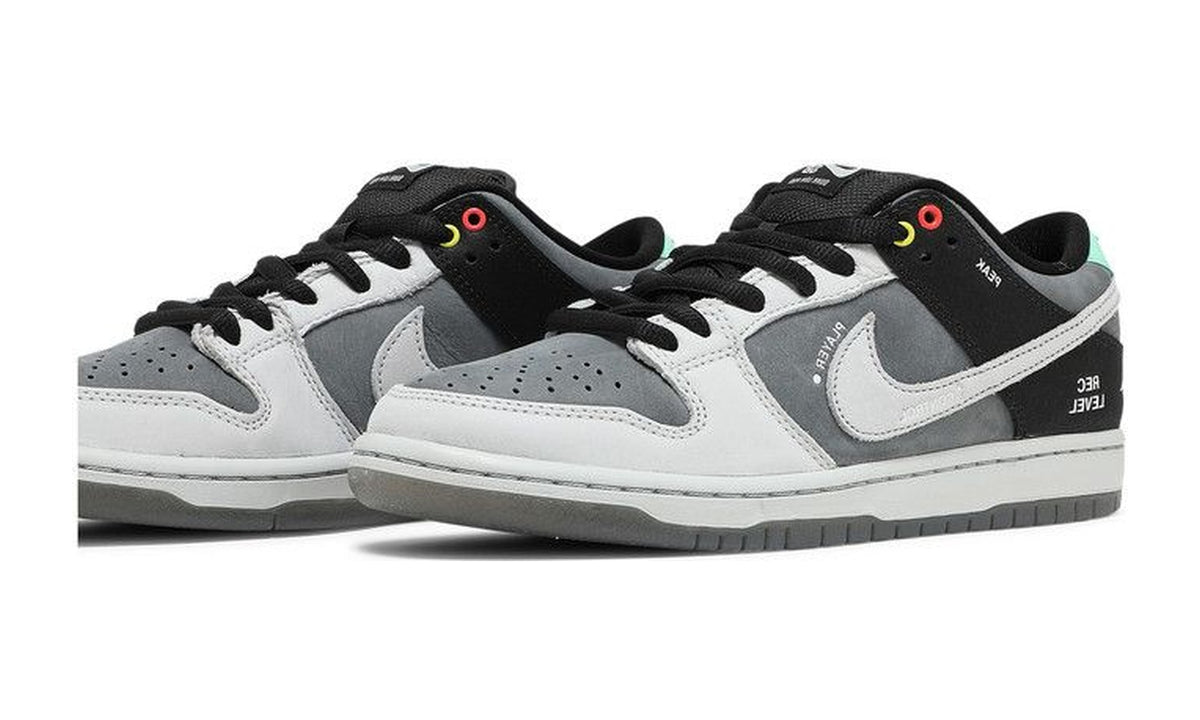 Nike Dunk Low SB Camcorder