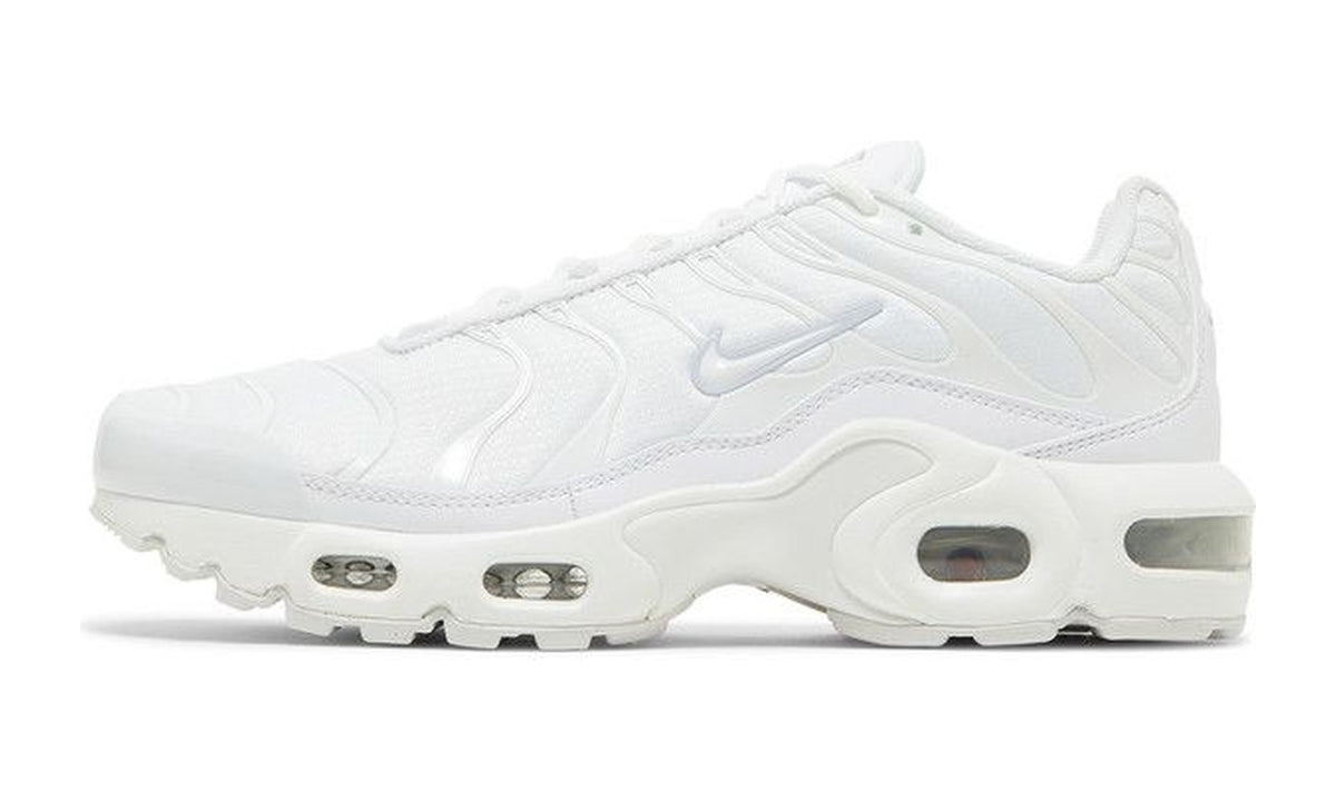 Nike Air Max Plus GS White Metallic Silver