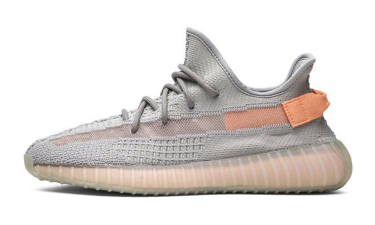 adidas Yeezy Boost 350 V2 True Form