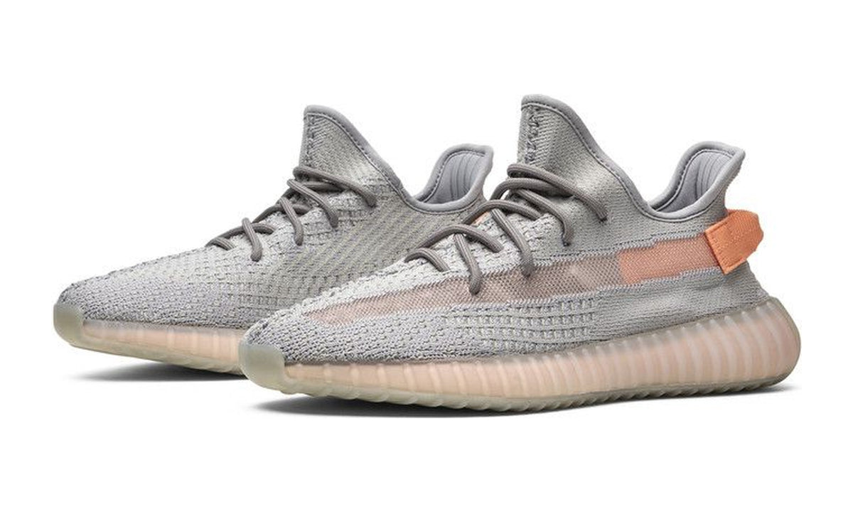 adidas Yeezy Boost 350 V2 True Form
