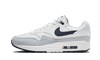 Nike Nike Air Max 1 Pure Platinum - FD9082-002