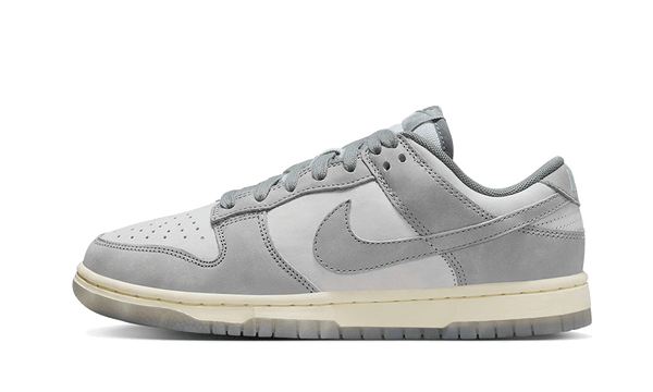 Nike Nike Dunk Low Cool Gray Football Gray FV1167 001 SHADESTUDIO.DE