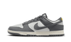 Nike Nike Dunk Low Next Nature Iron Grey Lightning - FZ4621-001