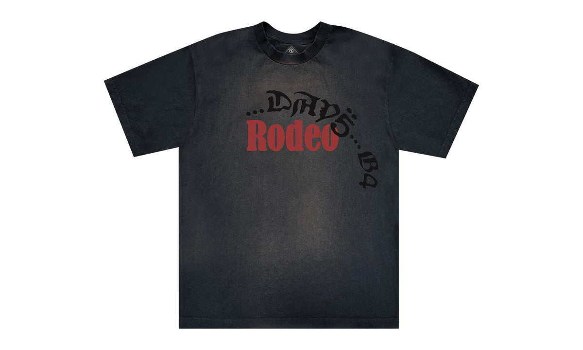 Cactus Jack by Travis Scott x Sp5der Days Before Rodeo Tee I Indigo