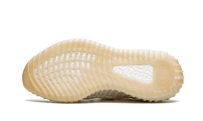 Adidas Yeezy Boost 350 V2 Light – limitierter Sneaker bei Shade Studios