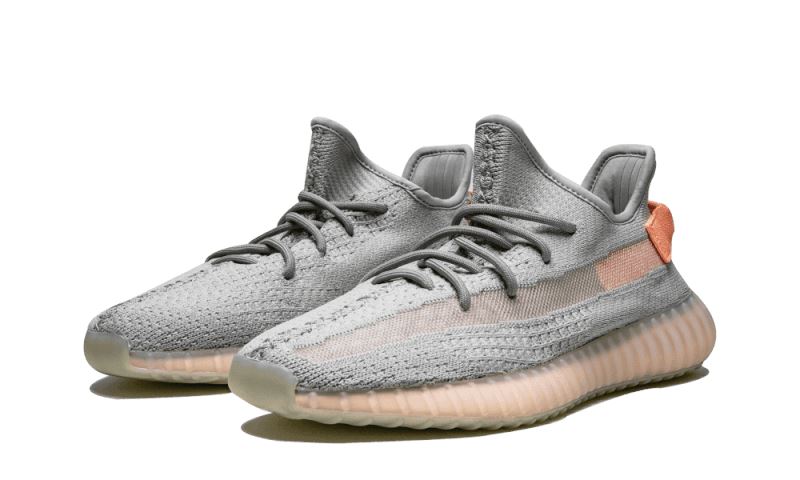 Adidas Yeezy Boost 350 V2 True Form - EG7492