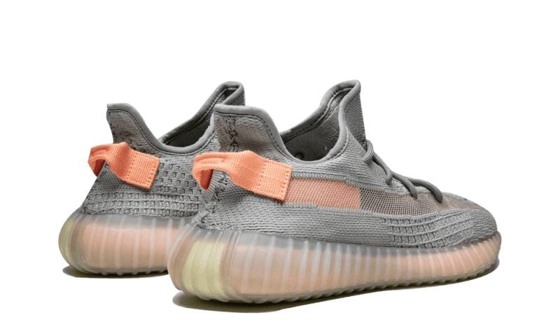 Adidas Yeezy Boost 350 V2 True Form - EG7492