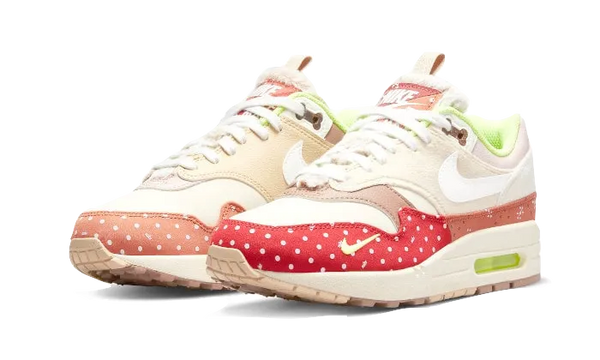 Air Max 1 PRM Best Friend - DR2553-111