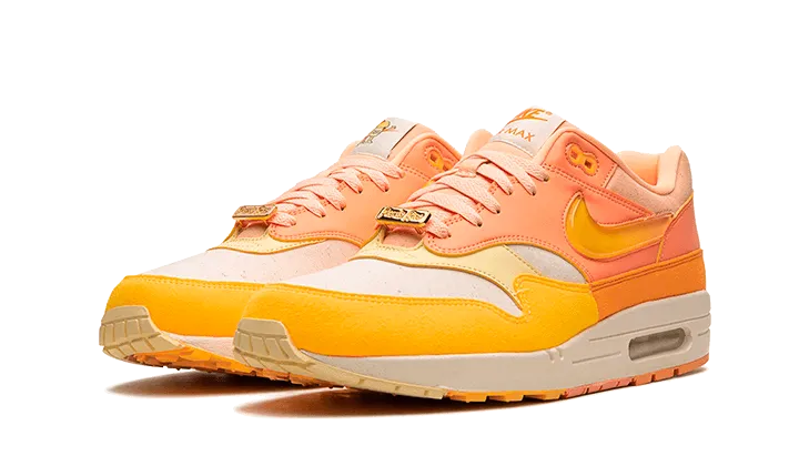 Air Max 1 Puerto Rico Orange Frost - FD6955-800